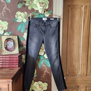 FRAME Le Skinny de Jeanne Velvet Tux Size 31